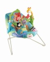 Fisher-Price Discover 'n Grow Activity Bouncer