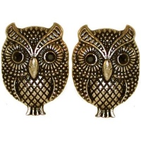 5/8 X 7/8 Owl Stud Earrings with Rhinestone Eyes In Antique Brass