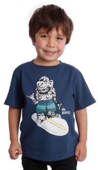 Quiksilver Boys 2-7 Simple Thing Kids Tee, Navy, 5/Small