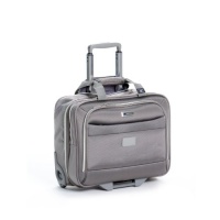 Delsey Luggage Helium Pilot 2.0 Lightweight 2 Wheel Rolling Tote, Platinum, 18 Inch