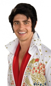 Elvis Now Wig