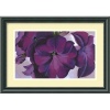 Petunias, 1925 Framed Wall Art by Georgia O'Keeffe - 16.33W x 11.46H in.