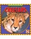 Cheetahs (Animals I See at the Zoo)