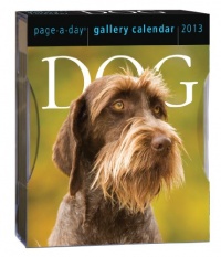 Dog 2013 Gallery Calendar