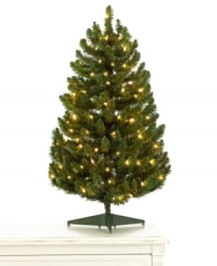 Full of life year after year, this Martha Stewart Collection Christmas tree boasts lush green branches that shine with 100 perfectly spaced lights. A smaller stature makes it ideal for tight spaces like city apartments and college dorms.