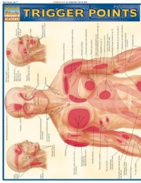 Trigger Points (Quick Study Academic)