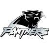 NFL Carolina Panthers Chrome Automobile Emblem