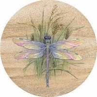 Dragonfly Sandstone Thirstystone Coasters