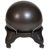 Health Mark Swiss Ball Chair