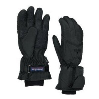 Nordic Gear Lectra Battery Heated Glove