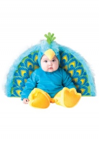 Precious Peacock Infant / Toddler Costume