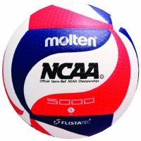 Molten Men's NCAA Flistatech Volleyball