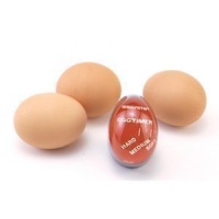 Norpro Egg Rite Egg Timer