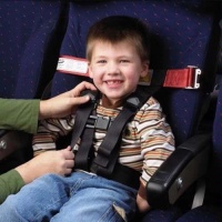 Child Airplane Travel Harness - Cares Safety Restraint System - The Only FAA Approved Child Flying Safety Device