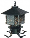 First Nature 3305 Lantern Style Seed Selector Feeder