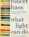 What Light Can Do: Essays on Art, Imagination, and the Natural World