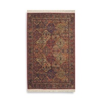 Karastan Multi Panel Kirman Rug Rug Size: 5'9 x 9'