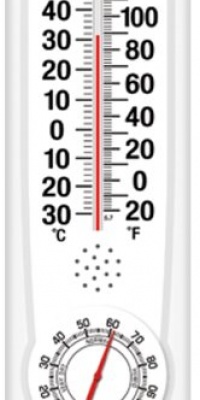 Springfield 9.125 inch Vertical Thermometer and Hygrometer