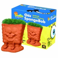 Chia SpongeBob Handmade Decorative Planter