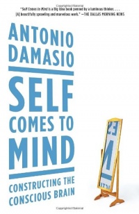 Self Comes to Mind: Constructing the Conscious Brain