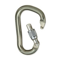 Black Diamond RockLock Screwgate Carabiner