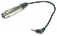 HOSA XLR (F) - 3.5mm Tip/Ring/Sleeve, (wired for dual mono), 1 ft.