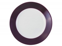 Pronto blackberry dinner plate 10.24 inches