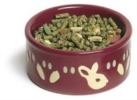 Super Pet Paw-Print PetWare Bowl, Bunny, Colors Vary