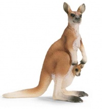 Kangaroo