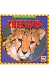 Cheetahs (Animals I See at the Zoo)