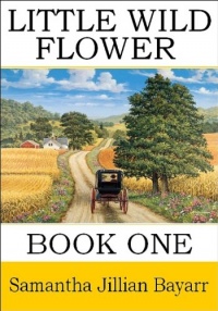 Little Wild Flower, Book 1 (Little Wild Flower, An Amish Christian Romance)