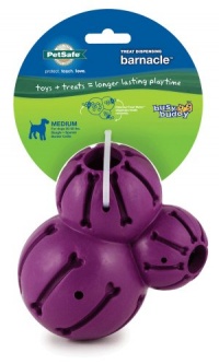 PetSafe Busy Buddy Barnacle Dog Toy, Medium