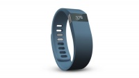 Fitbit Force Wireless Activity + Sleep Wristband, Slate, Small