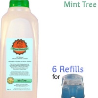 6 Refills for Braun Clean & Renew Cartridges - Better than the original! Patent Pending - Mint Tree - $5.55 Shipping On All Orders. That's FREE shipping for each additional item!