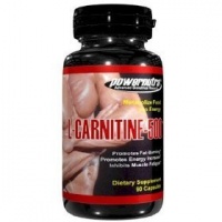 PowerNutra L-CARNITINE 500 - 90 Capsules 500mg Metabolize Food Into Energy