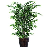 Bushes 48 Artificial Potted Natural Variegated Ficus Tree in Dark Green