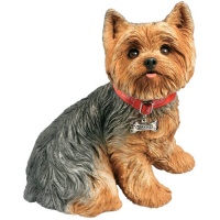 Sandicast Life Size Yorkshire Terrier Sculpture, Sitting