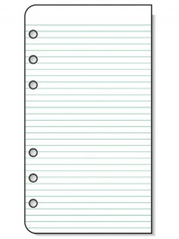 Day-Timer Lined Note Pages, Portable Size, 3.75 x 6.75 Inches, 48 Sheets (D87128B)