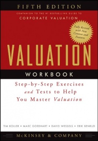 Valuation Workbook: Step-by-Step Exercises and Tests to Help You Master Valuation (Wiley Finance)