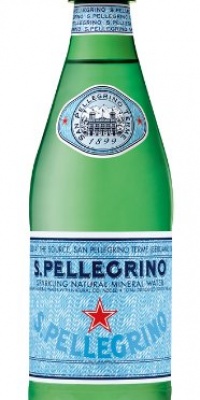 San Pellegrino 16.9-Ounce (Pack of 24)