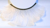 Zinkcolor White Feather False Eyelashes F131 Dance Halloween Cheerleader Costume