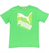 Puma Kids Boys Linear TeeClassic Green MED