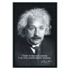 Einstein Curiosity Framed Wall Art - 25.41W x 37.41H in.