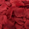 Red Silk Rose Petals ~ 200 Petals