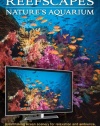 Reefscapes: Nature's Aquarium DVD (nature video for relaxation and ambience)