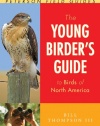 The Young Birder's Guide to Birds of North America (Peterson Field Guides)