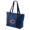 Picnic Time NFL Tahoe Cooler Tote