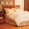 Pacific Coast Feather Lightweight Warmth Down Comforter - Queen