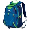 High Sierra Neuro Backpack