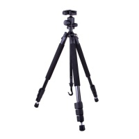 Dolica GX600B200 Proline GX Series 60-Inch Aluminum Tripod and Ball Head Combo for DSLR